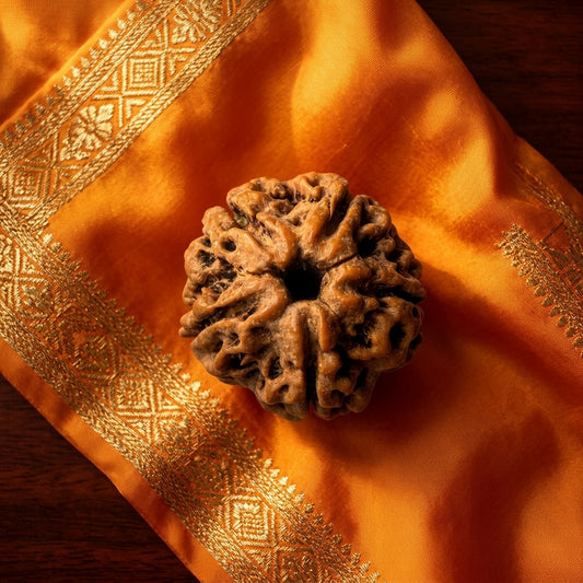 Original 5 Mukhi Nepali Rudraksha