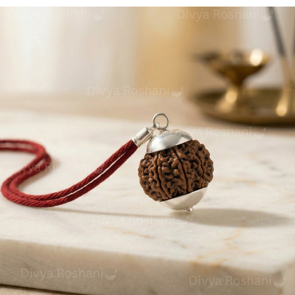 Original 5 Mukhi Nepali Rudraksha