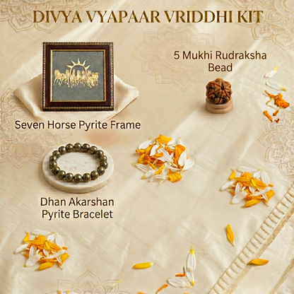 Divya Vyapaar Vriddhi Set